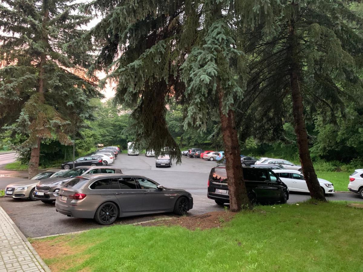 Parkhotel Carlsbad Inn Dalovice Dış mekan fotoğraf